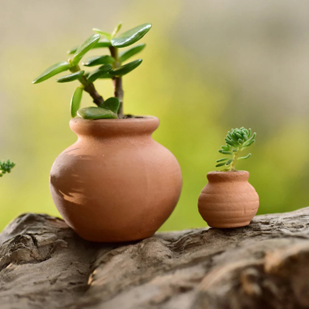 Macetas arcilla para plantas en miniatura o microecosistemas