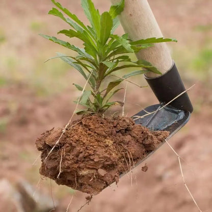 Azada de cultivo de acero